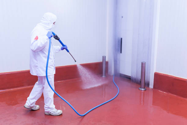Paint Preparation in Smyrna, DE