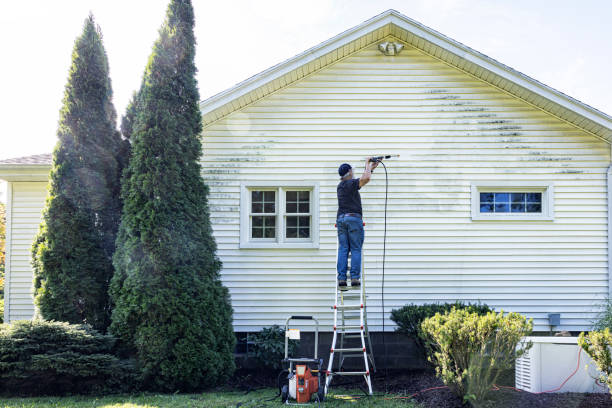 Best Driveway Pressure Washing  in Smyrna, DE